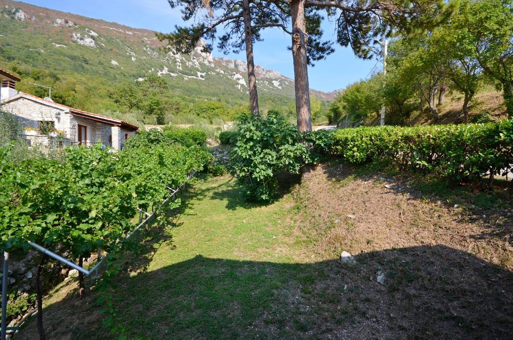 Apartment Josip بلومين المظهر الخارجي الصورة